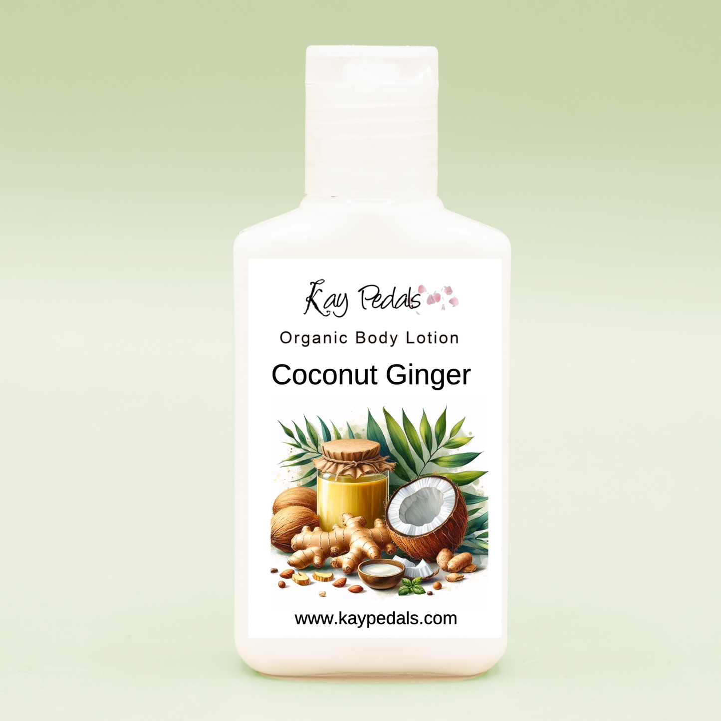Ginger Coconut Natural Body Lotion Made With Sensitive Skin Fragrance Oil | Organic Unrefined African Shea Butter | Organic Sweet Almond Oil | Organic Avocado Oil |-3